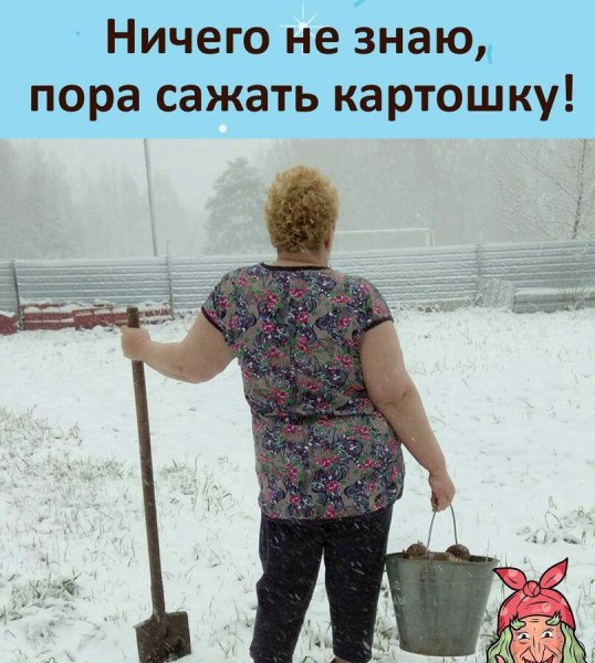 Пора сажать картошку