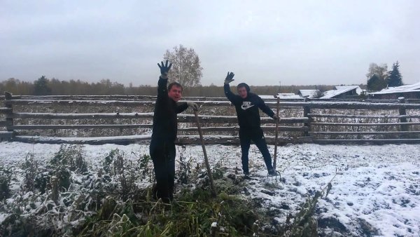 Сажать картошку в снег
