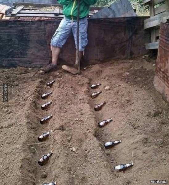 Грядки прикол