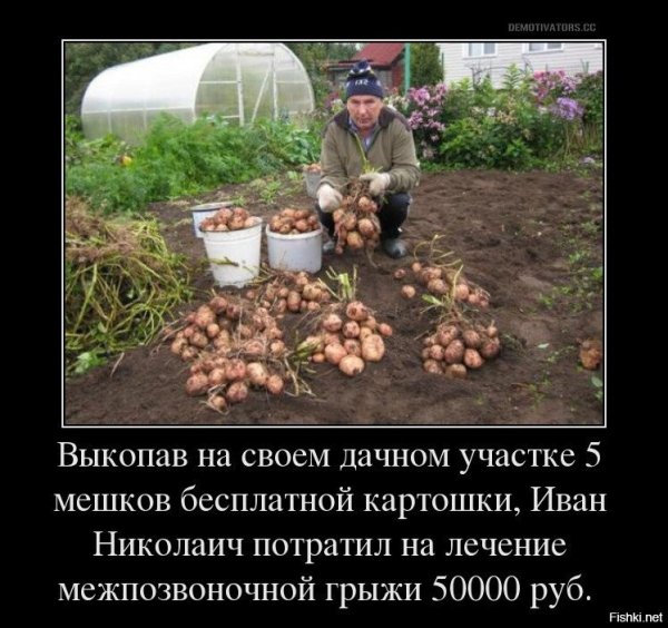 Шутки про урожай