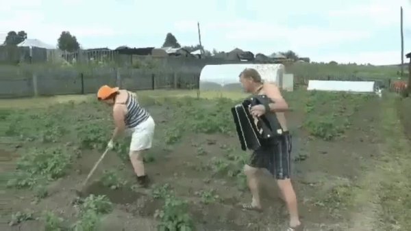 Женщина с тяпкой на огороде