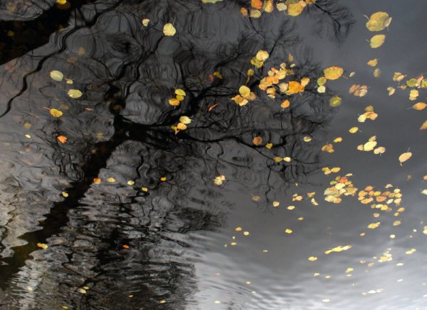 Осень ночь ветер