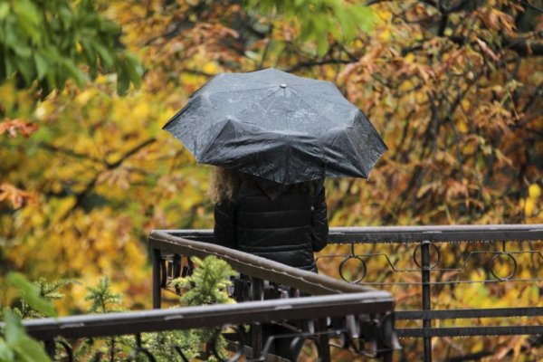 Осенний дождь и ветер