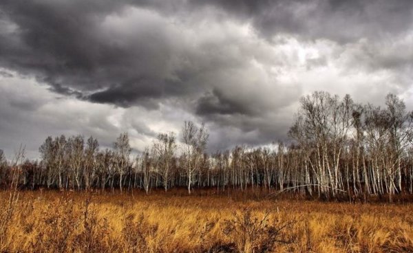Поздняя осень дождь