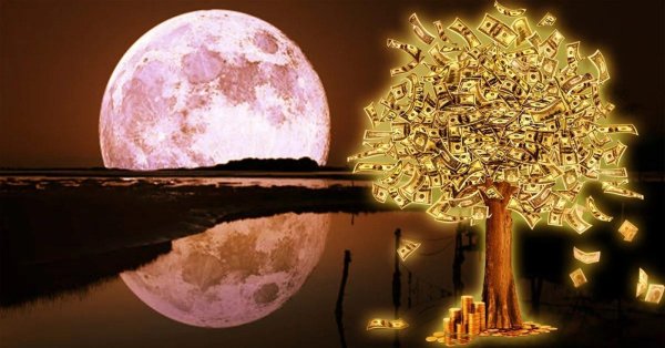 Денежная Вселенная