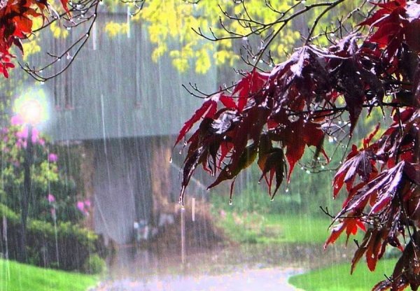 Частый дождь