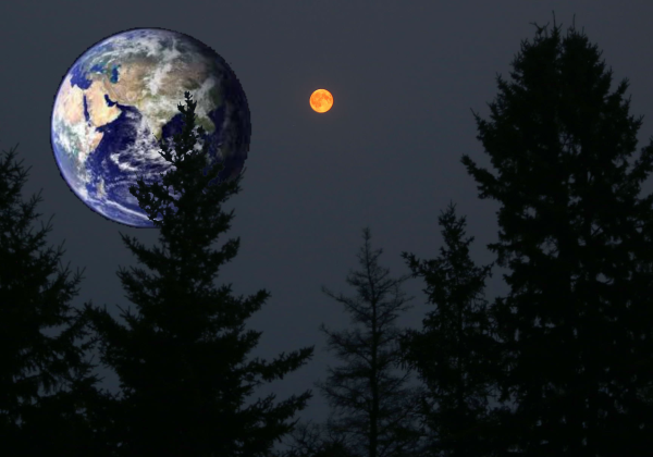 Большая Луна над лесом