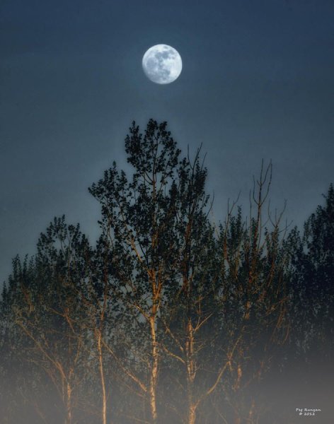 Полная Луна