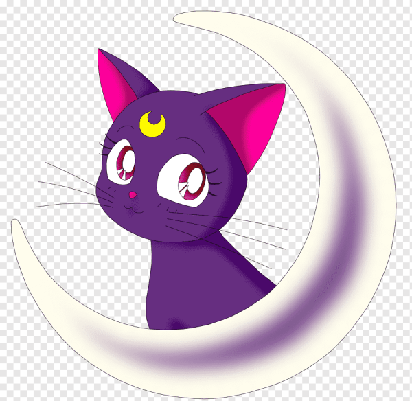Кошка Луна из сейлормун