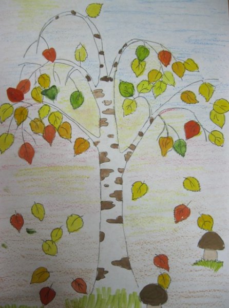 Рисование береза в подготовительной группе