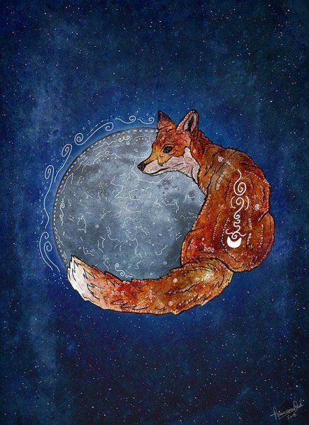 Лунная лиса