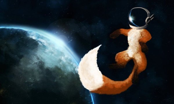 Лиса в скафандре