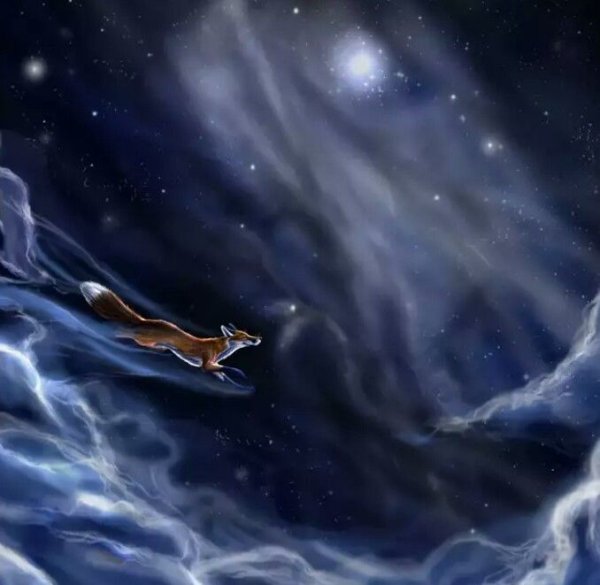 Лиса и звезды