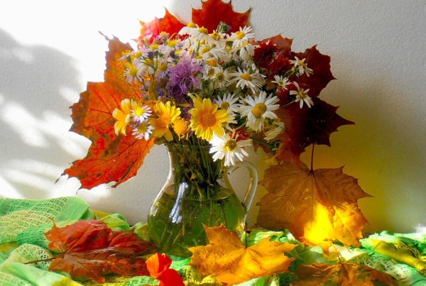 Красивые букеты осени