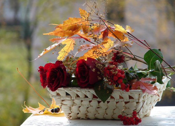 Осенний букет