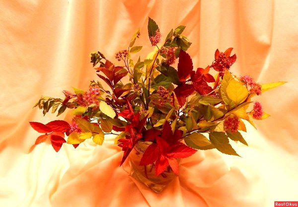 Букет осенних листьев