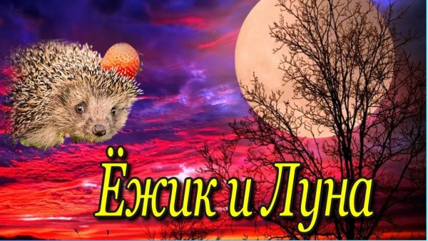 Ежик и Луна