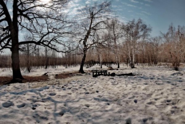 Серая Весна