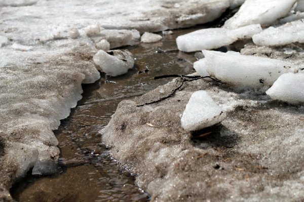 Бегут весенние ручьи