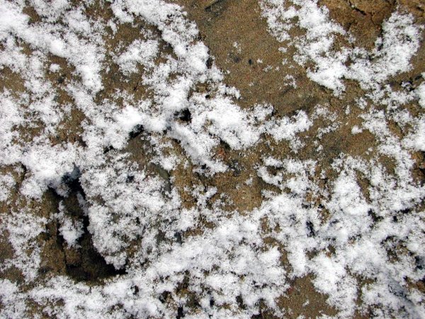 Снег на поверхности