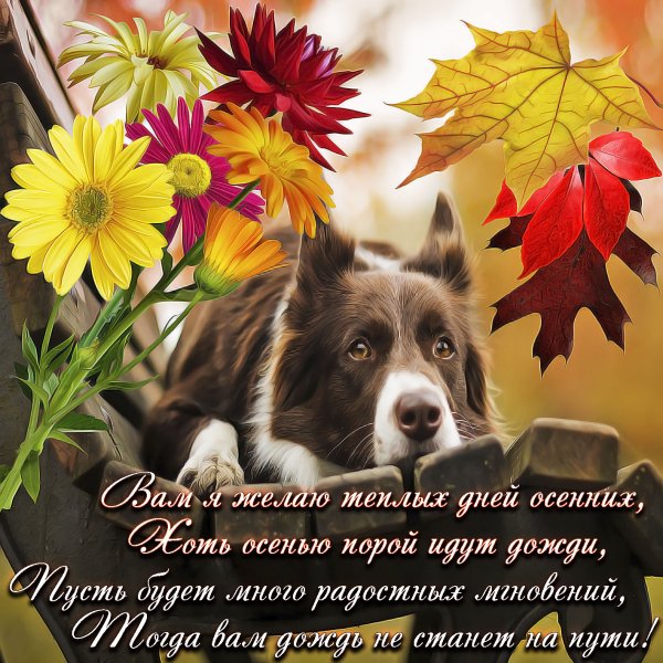Осенние поздравления с добрым