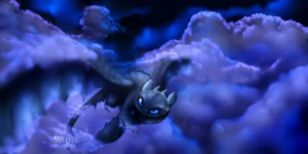 Ночная фурия в небе