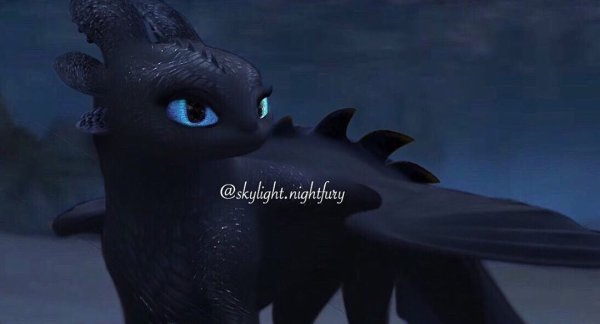 Самка дракона ночной фурии