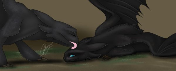 Беззубик и самка ночной фурии