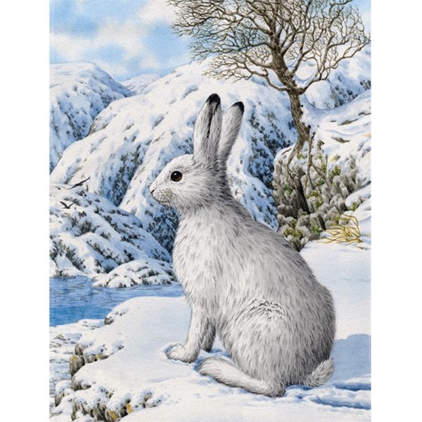 Заяц Беляк в живописи