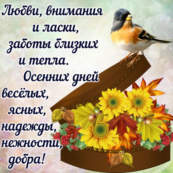 Осеннего дня пожелания