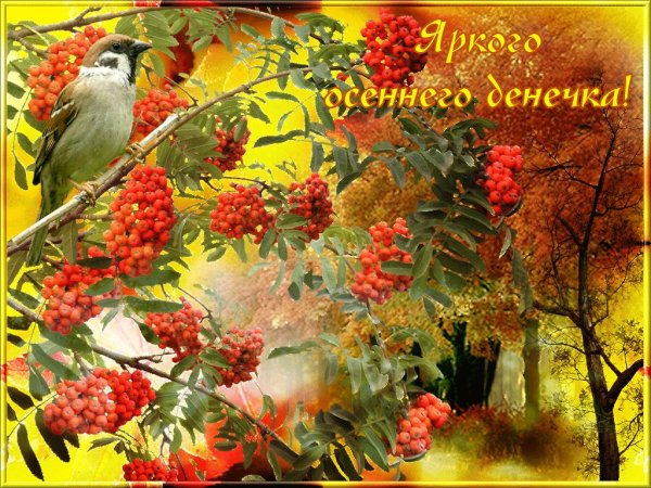 Прекрасного осеннего дня