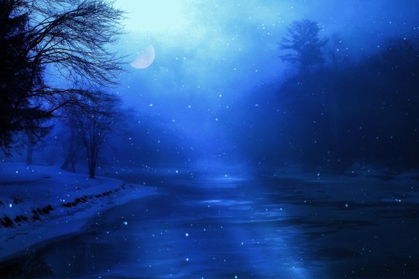 Лунная ночь зимой