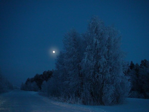 Морозная ночь