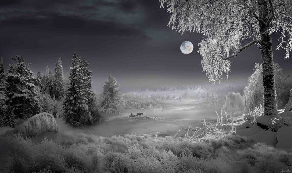 Зимний пейзаж