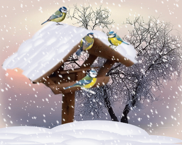 Птицы зимой анимация