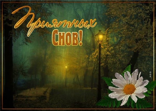 Тёплой осенней ночи и сказочных снов