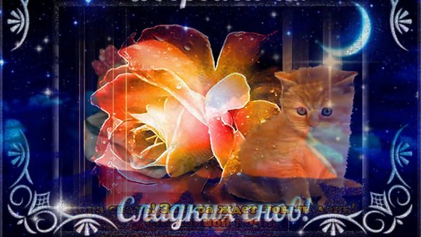 Спокойной осенней ночи сладких снов