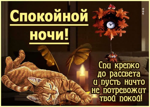 Доброй спокойной ночи