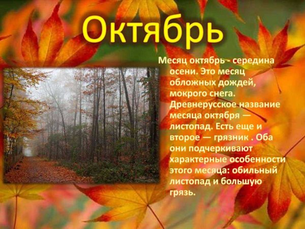Осенние месяцы