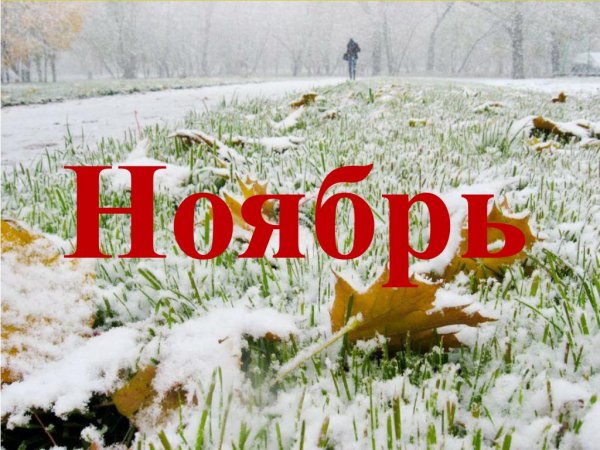 Ноябрь картинки для детей