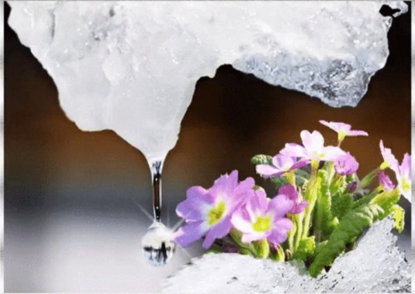 Весенняя капель анимация