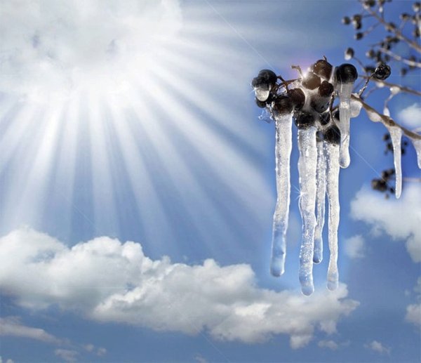 Весна капель