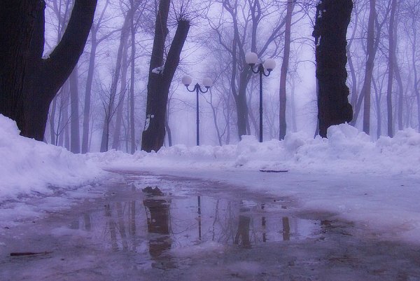 Ранняя Весна gif