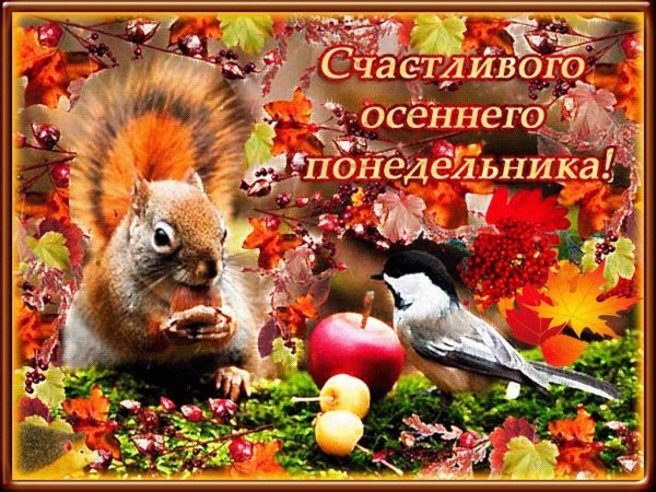 Доброго осеннего понедельника