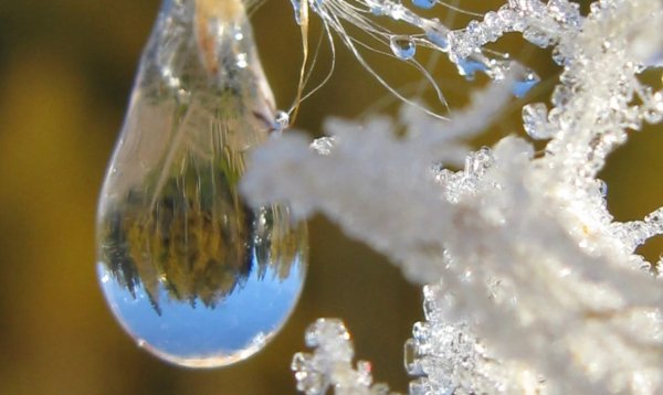 Замерзшие капельки воды