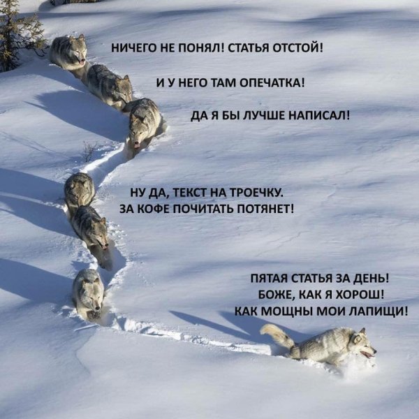 Я шерстяной Волчара