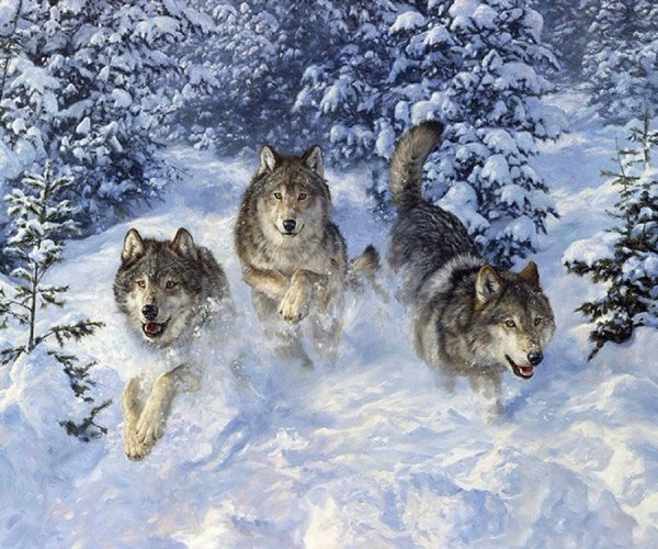Алмазная мозаика бегущие волки