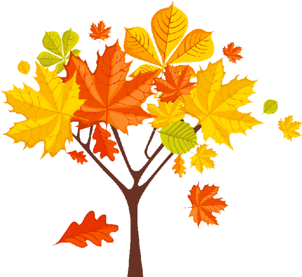 Клен рисунок для детей