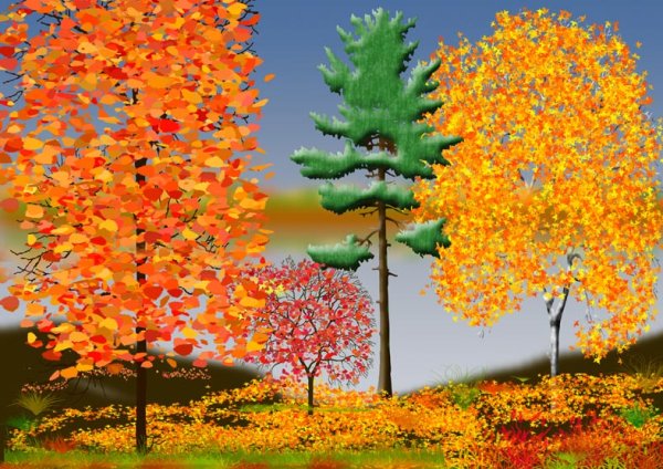 Осенний лес для дошкольников