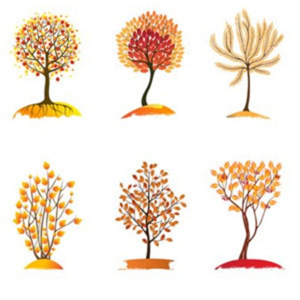 Осенние деревья и кустарники для детей
